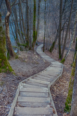 A stairway winding thru bare deciduous forest to down the hill. Early Spring scenery of Dukstai (Dukštai) educational trail. Lithuania, Baltic. Soft focus.