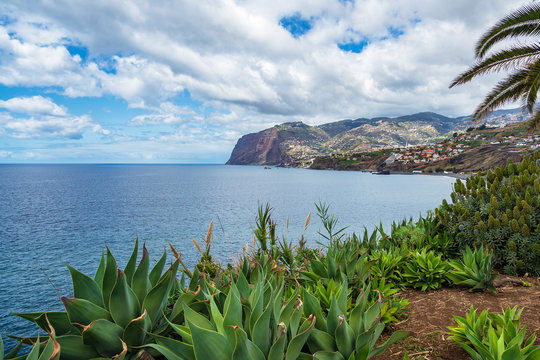 Blick auf Camara de Lobos auf der Insel Madeira, Portugal