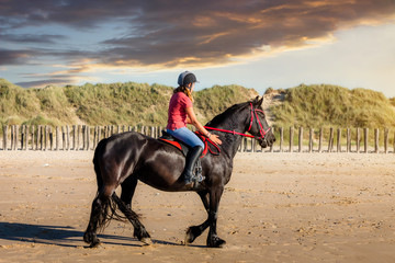 magnifique jeune femme et son cheval sur la plage