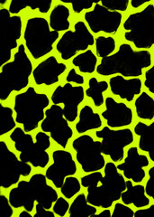 Abstract bright background. Black spots, blots.