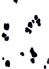 Texture of animals. Dalmatian stains. Black and white background.