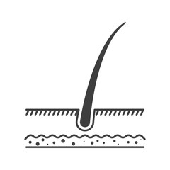 Hair growth icon. Vector on white background.