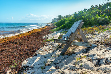 Old Bench at a Beach on Grand Cayman
