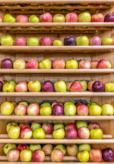 Mele in scaffale di vario tipo, ricchie di vitamine e enzimi di salute e bellezza, colori...