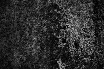 Beautiful rock wood and stone abstract texture background and wallpaper