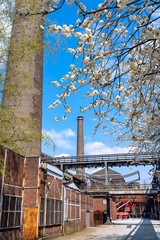 Chimney with blossom trees in Landschaftspark Lapadu Duisburg, Germany