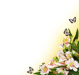 Corner arrangement with alstroemeria flowers and butterflies