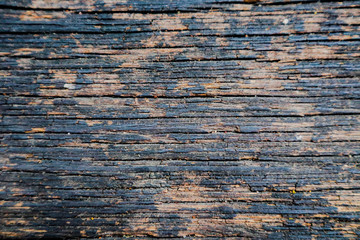Beautiful rock wood and stone abstract texture background and wallpaper