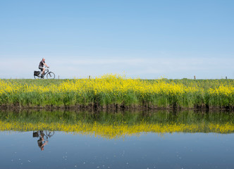 man rides bicycle along water of valleikanaal near leusden in the netherlands and passes yellow...