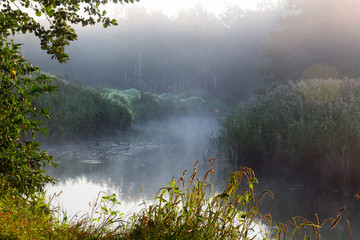 Misty sunrise on the banks of a forest river