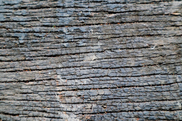 Fototapeta premium Beautiful rock wood and stone abstract texture background and wallpaper