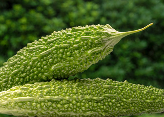 This is bitter gourd.