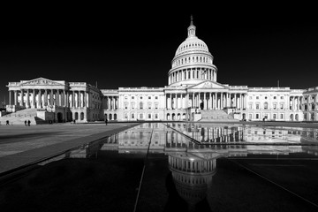 Fototapeta premium Panoramic view of Capitol Building with reflection in the morning in black and white, Washington DC