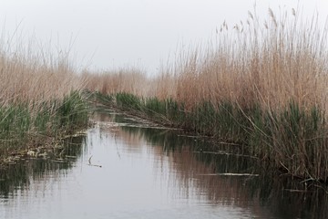 Channel at the southern margin of the lake Neusiedler See