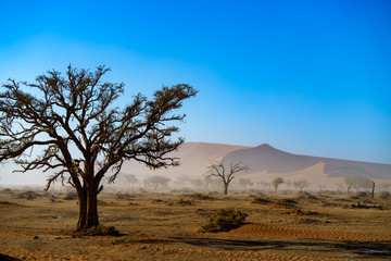 Fototapeta na wymiar Stürmiger Tag in der Wüste