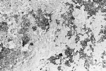 Beautiful rock wood and stone abstract texture background and wallpaper