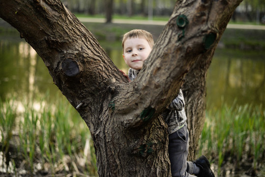 Five Year Old Boy Climbs A Tree