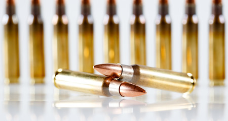 Hunting cartridges of caliber. 308 Win