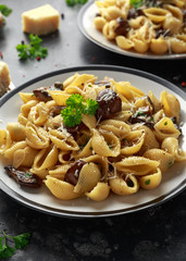 Conchiglie pasta with mushrooms, creamy sauce, parmesan cheese and herbs