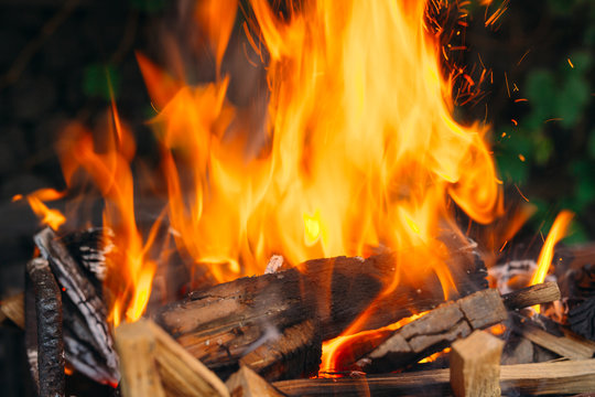 Frewood burning flames on iron grill with green grass on background