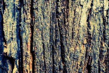 Beautiful rock wood and stone abstract texture background and wallpaper