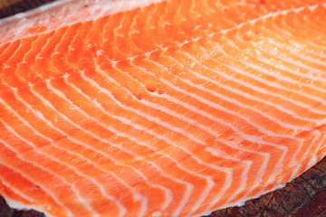 Fish Salmon close up.