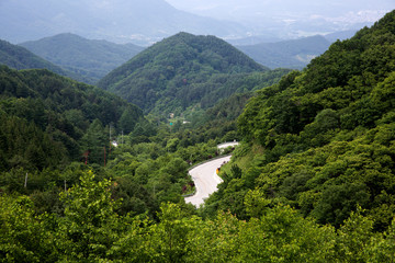 Mountain path in Hamyang-gun, Korea.