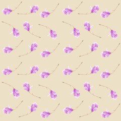 Fototapeta premium Twig blossoming magnolia. Seamless pattern. The concept of
