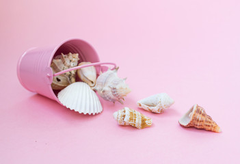 Sea shells of various sizes are scattered from a pink bucket on a pink background, empty space to the right.
