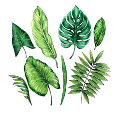 Set of tropical leaves. Watercolor and graphics handmade.