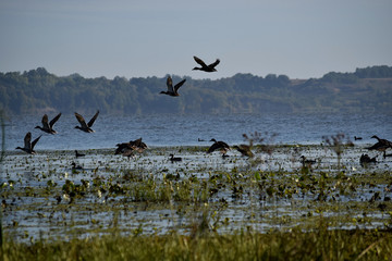 Poranek © Magdalena