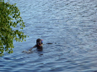 diver