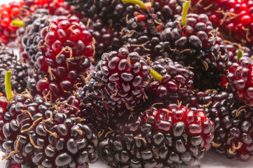 Close up mulberry