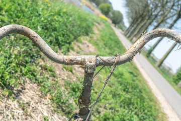 Old Rusty Bike Lay in Grass