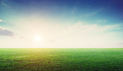 Obraz na płótnie Canvas Grass field landscape panoramic
