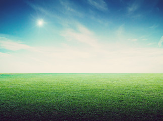 Obraz na płótnie Canvas Grass field landscape panoramic