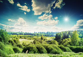 Rural meadow nature landscape