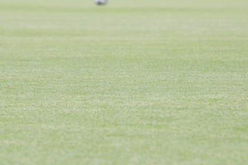 サッカーのグラウンド