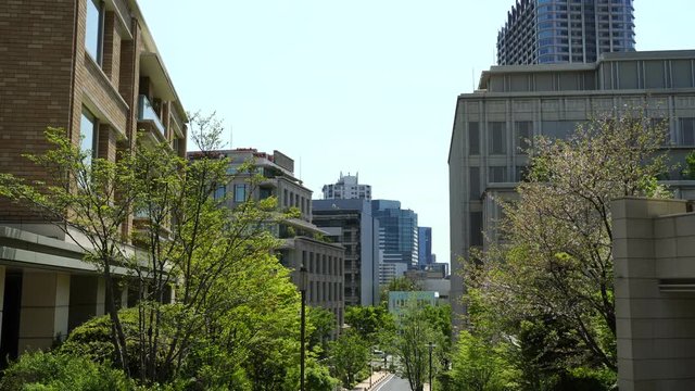 東京　春　新緑の街並みイメージ
