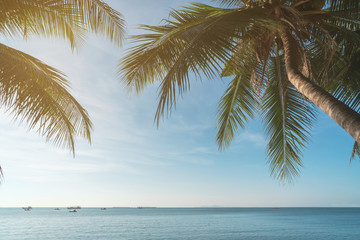 Fototapeta na wymiar Coconut plam tree with sun and blue sky at tropical beach, Summer vacation concept