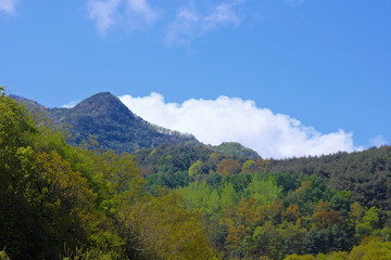 봄의 산과 구름