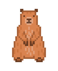 Standing marmot, old school 8 bit pixel art icon isolated on white background. Groundhog Day symbol. Wildlife rodent animal sign.