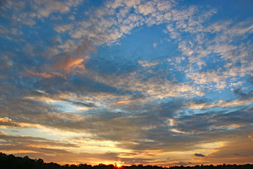 Sunset over trees in France