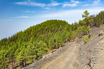 Fototapeta na wymiar Ruta de los Volcanes Trail, La Palma, Spain
