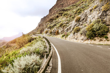 Summer road with sunset time and free space for your decoration. 