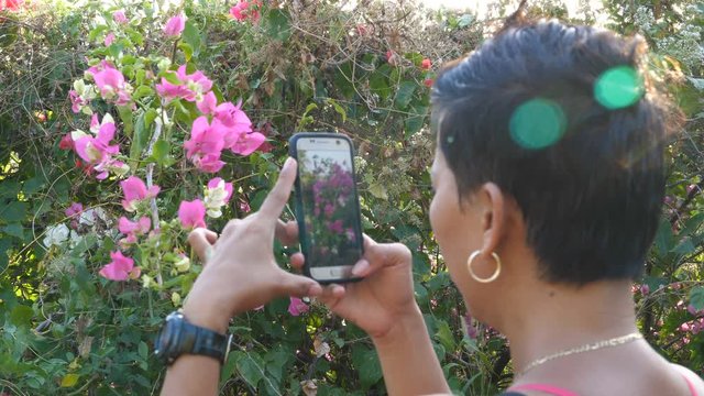 Asian woman takes mobile photo from flowers