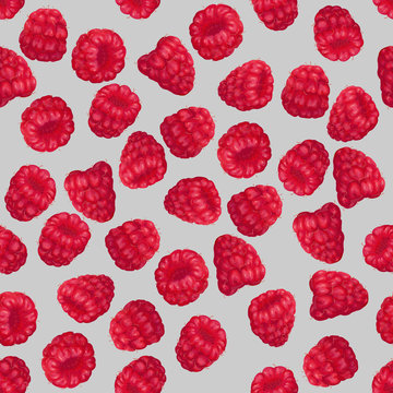 Vector seamless pattern with hand-drawn realistic raspberry, like paints, juicy colors, appetizing, fresh, tasty, distinct over the background of gray. Summer wildlife berries delicacy, pink crimson.