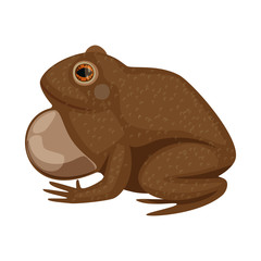 Vector illustration of toad and biology sign. Collection of toad and brown stock vector illustration.