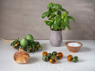 Painted eggs of chicken and quail green and dark orange on a white table. Fresh basil in a clay gray pot.