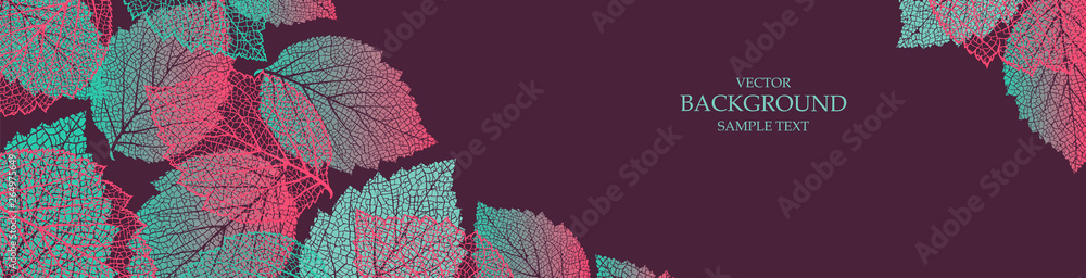 Wall mural colorful background with leaves. nature banner. frame with plants. template